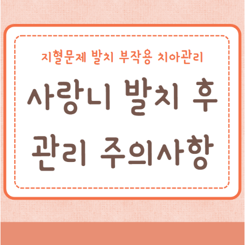 사랑니 발치 후 관리 주의사항