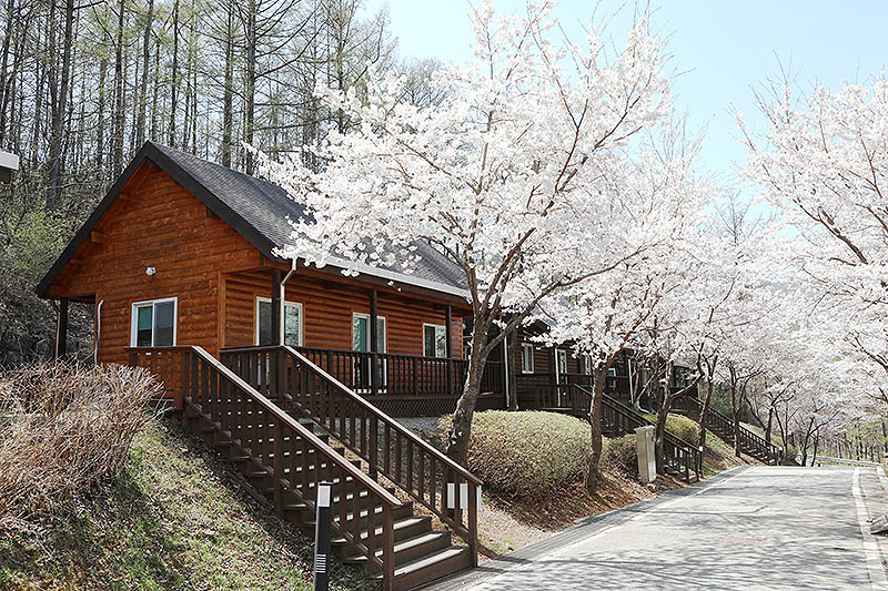 가평 '연인산 다목적캠핑장' 미리보기