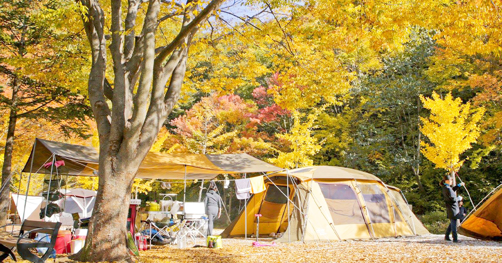 장수 방화동 숲속 캠핑