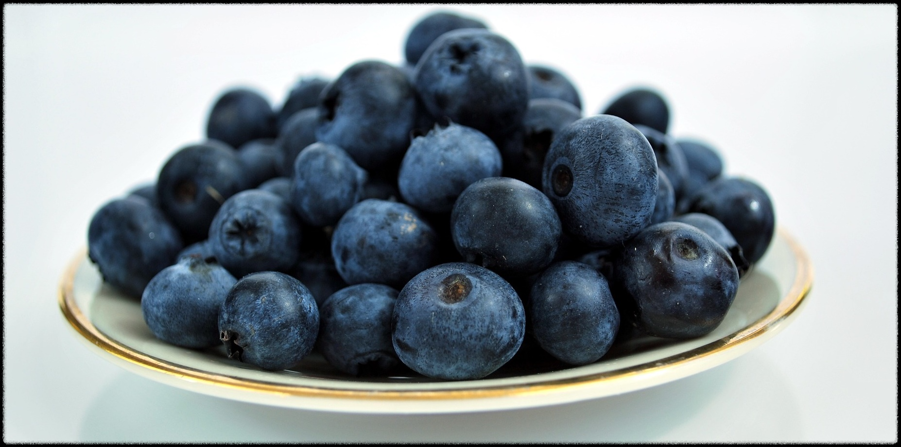 블루베리 효능 이미지_16