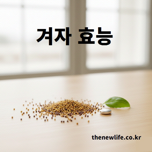 자연광 아래 놓인 겨자씨 실사 이미지 – 소화 촉진과 장 기능 개선에 도움을 주는 겨자 효능을 보여주는 사진