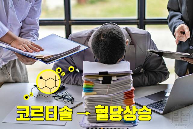 혈당 오르는 이유 혈당상승 혈당변동 저혈당 고혈당 원인 스트레스