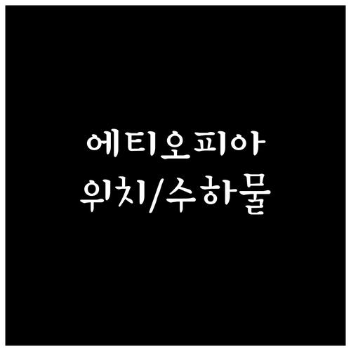 인천공항 제1터미널 에티오피아항공 위..