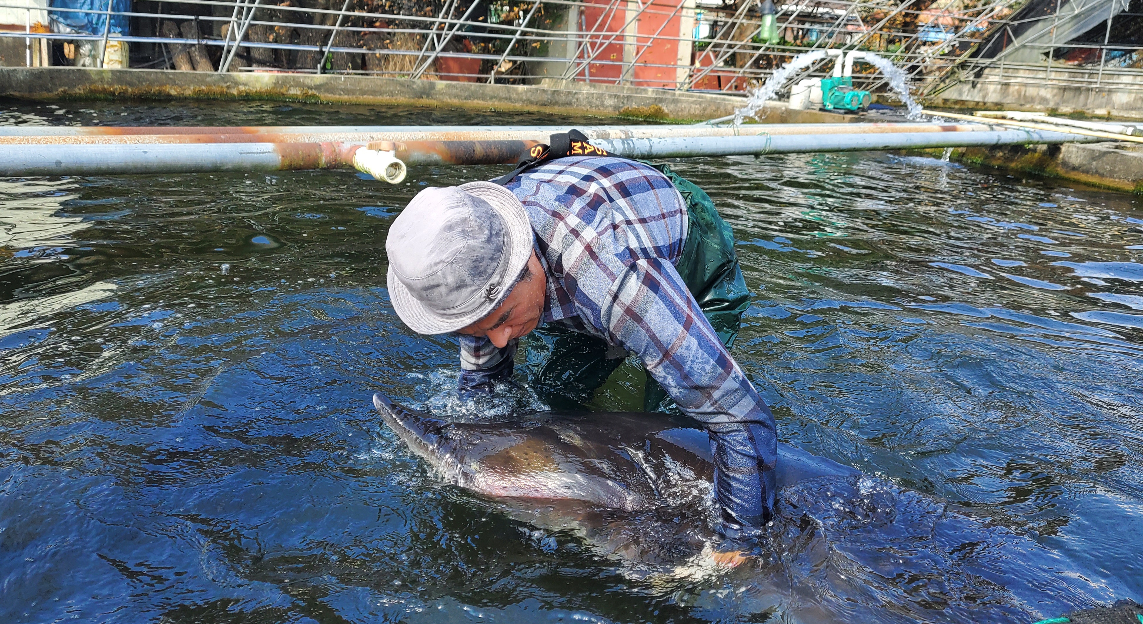 두영수산