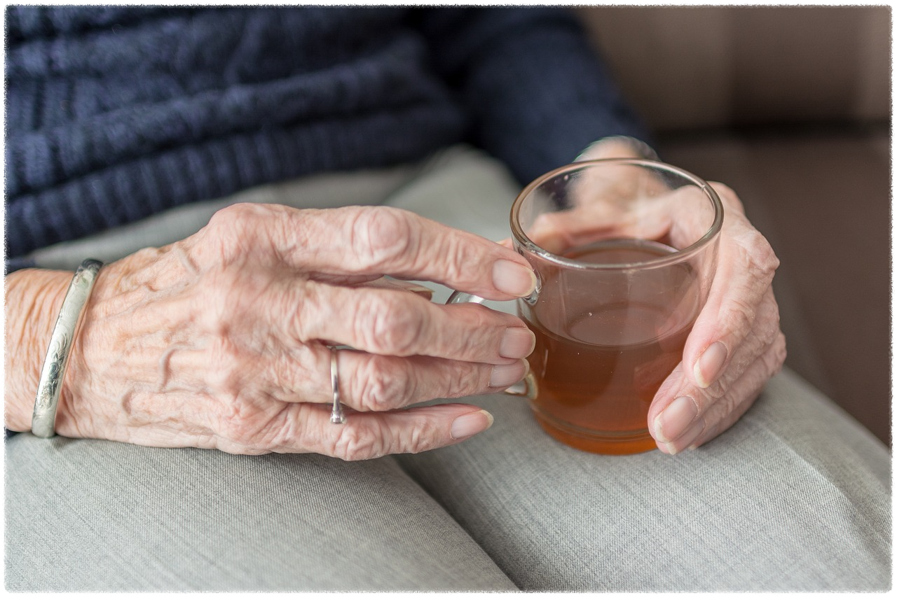 노인일자리 안내