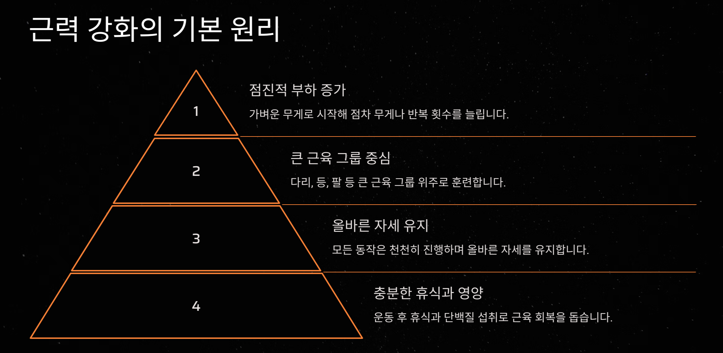 50대 여성 초보자를 위한 근력 운동 프로그램