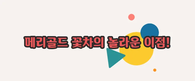 메리골드 꽃차 효능 정확히 짚어볼게요