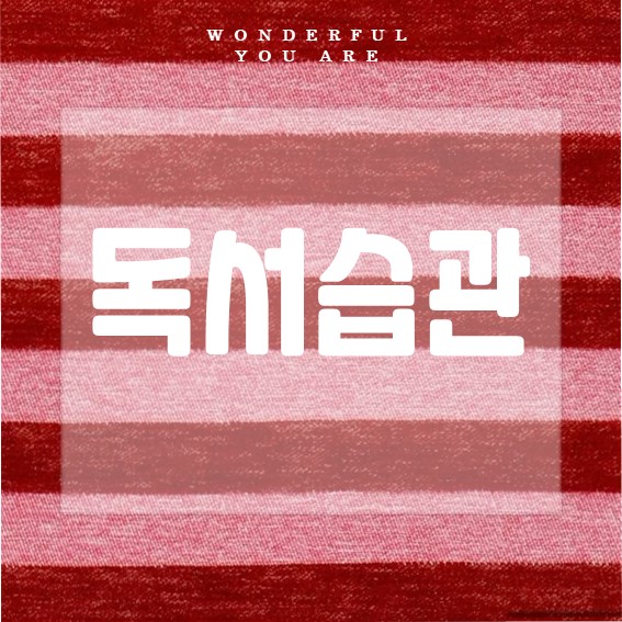 독서 습관 완전 정복: 성공으로 가는 첫걸음