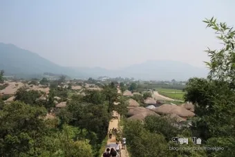 순천 여행코스 추천 순천만습지와 근처 맛집 일정 정리_23