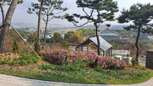 화성_우리꽃식물원_국화전시회