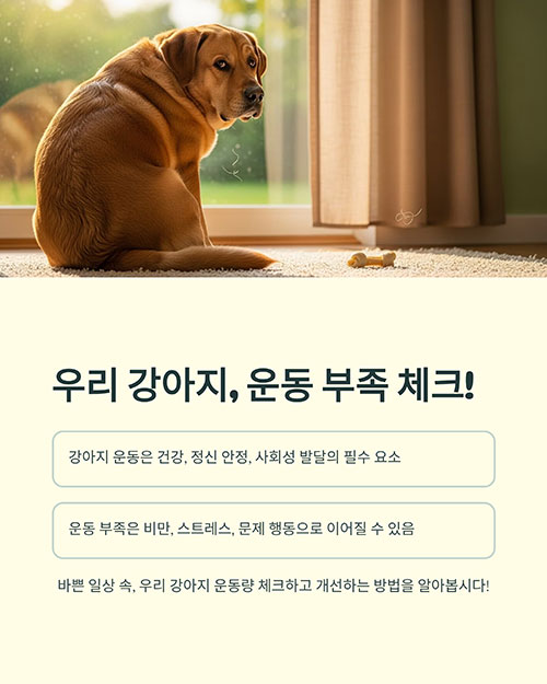 우리 강아지, 운동 부족 체크