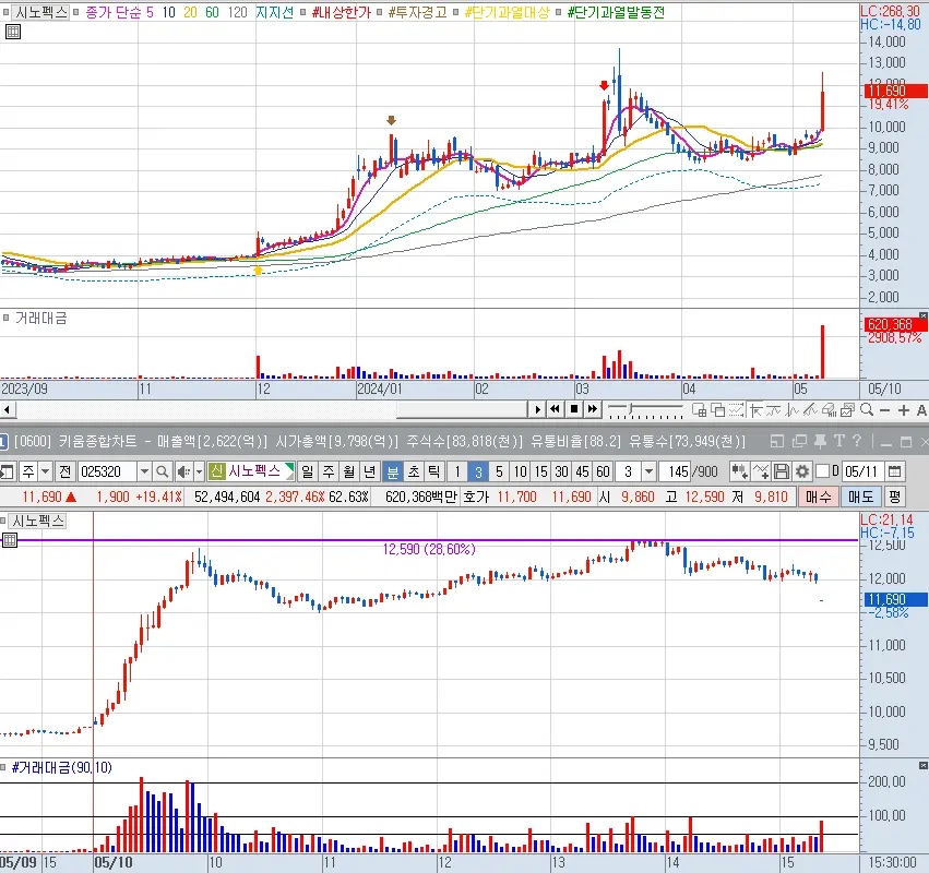 시노펙스 일봉 및 분봉