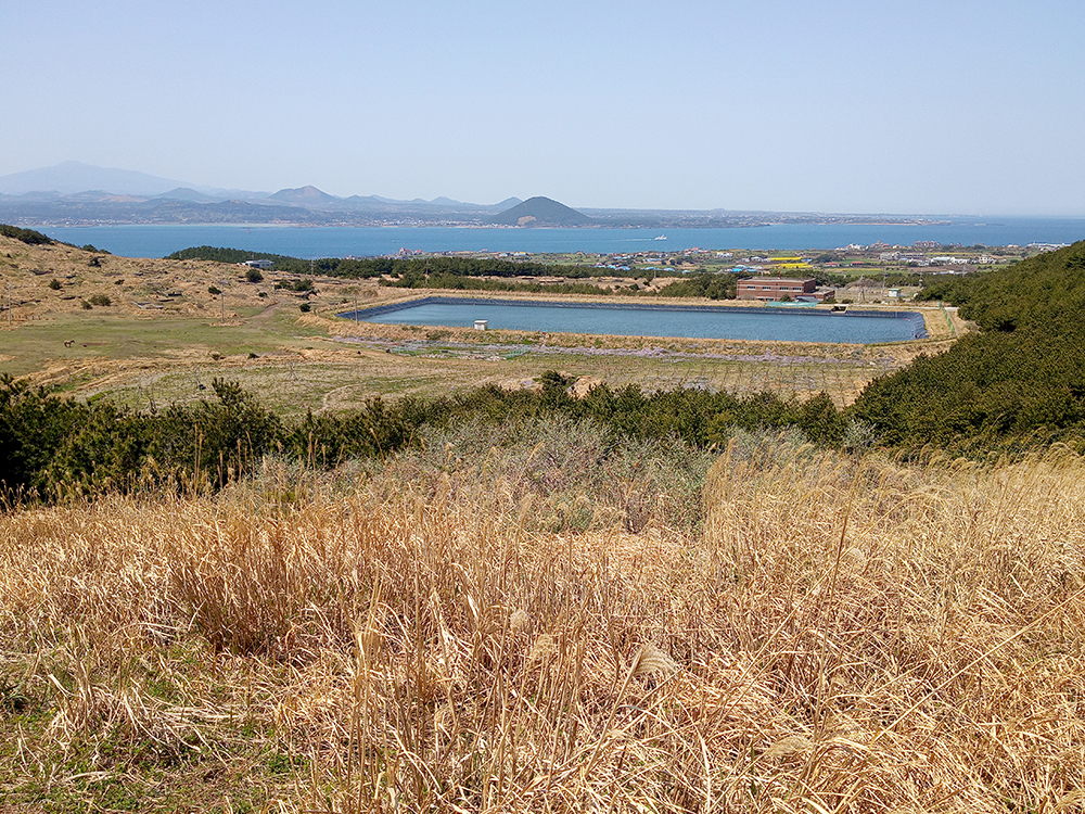 올레길 1-1코스: 우도봉 저수지