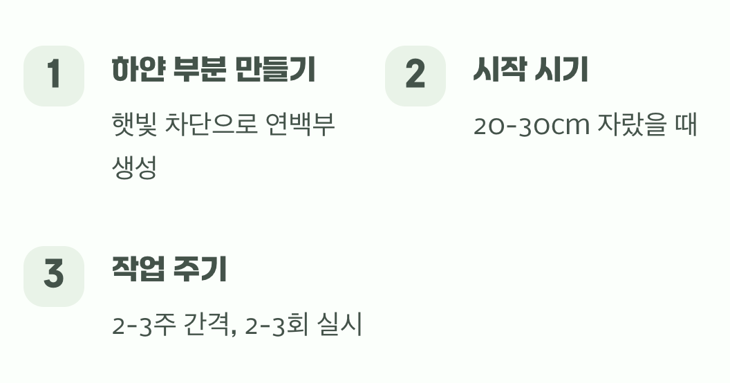 하얀 부분을 길게 만드는 '북주기'의 마법