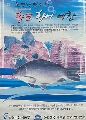 향어