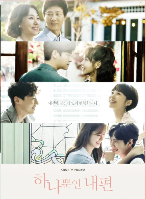 하나뿐인-내편