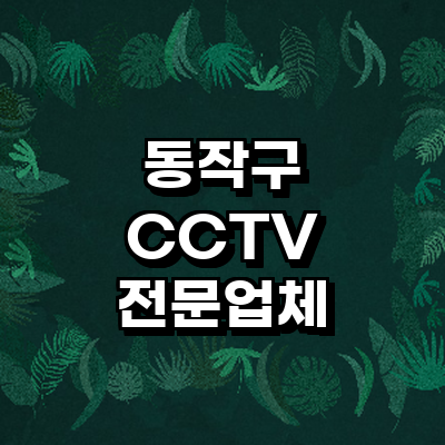 서울 동작구 cctv