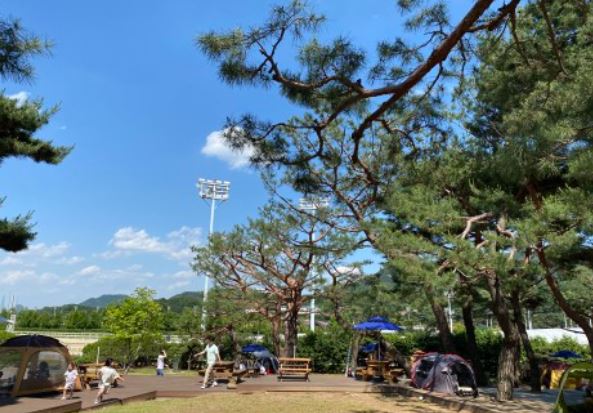 렛츠런파크 벚꽃축제 야경