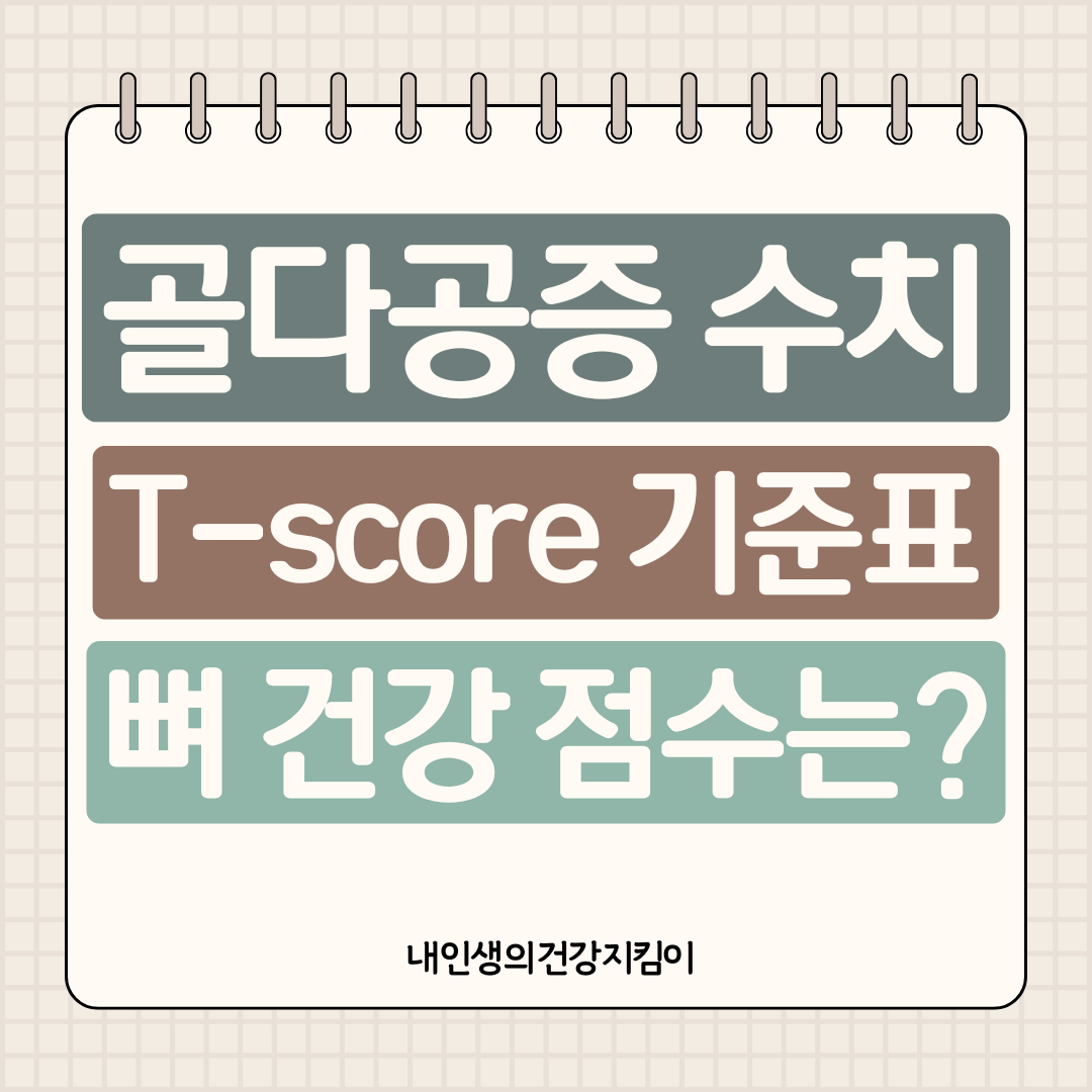 골다공증 수치 T-score 기준표