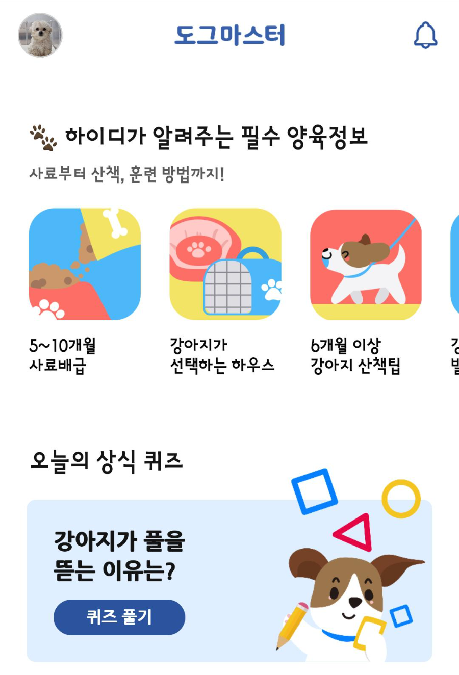 도그마스터 훈련 정보들