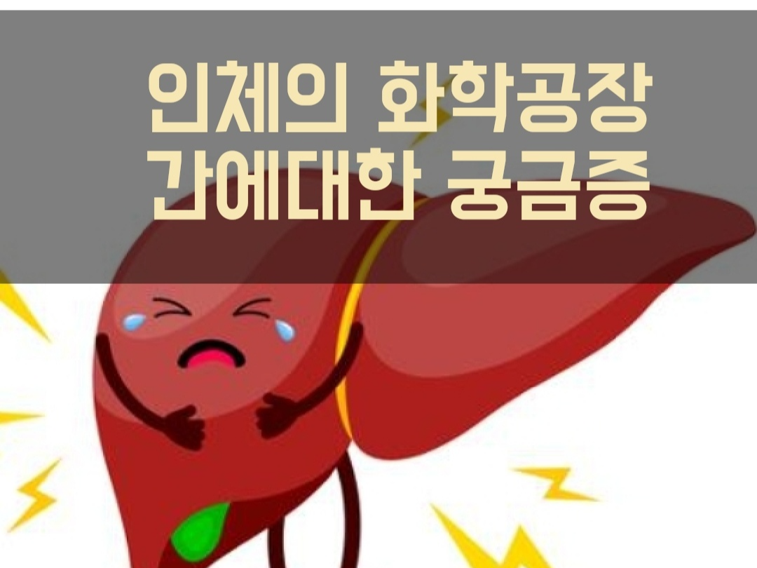 간에 대한 궁금한 이야기들