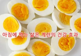 삶은 계란 보관법 오래 안 상하고 보관하기_7