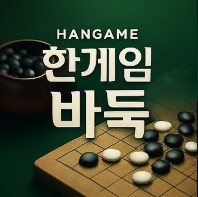 한게임 바둑 게임