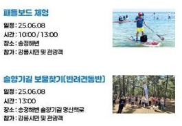 강릉해양레저 펫가족 힐링페스티벌