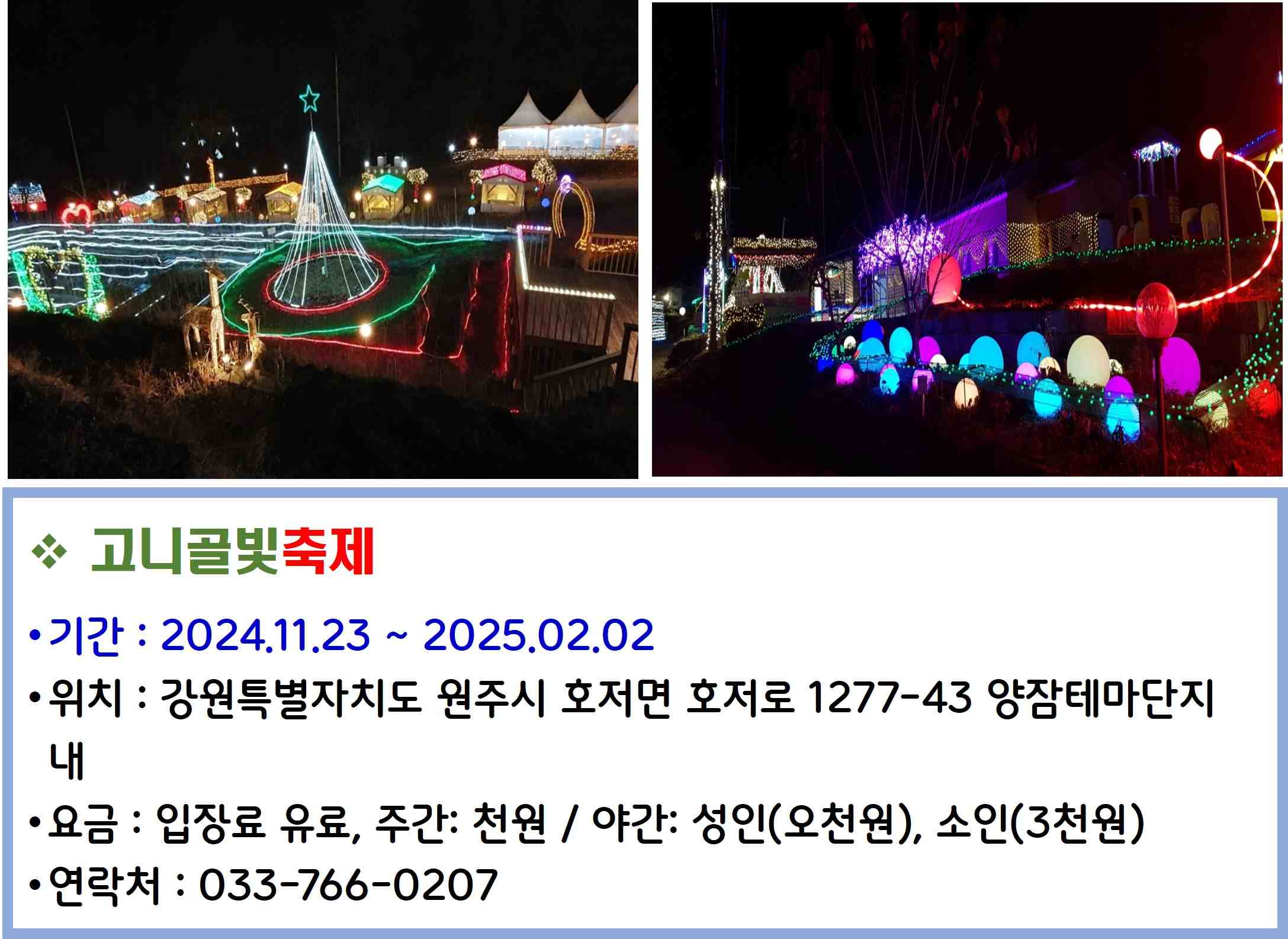 고니골빛 축제