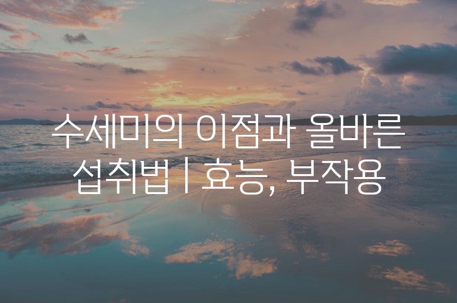 샘플 (81)