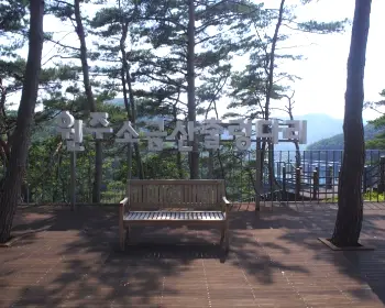 소금산 출렁다리_5