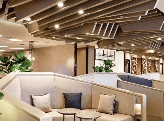 더라운지 앱 무료입장