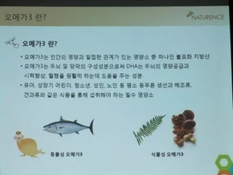 오메가3 효능 부작용 복용법으로_23