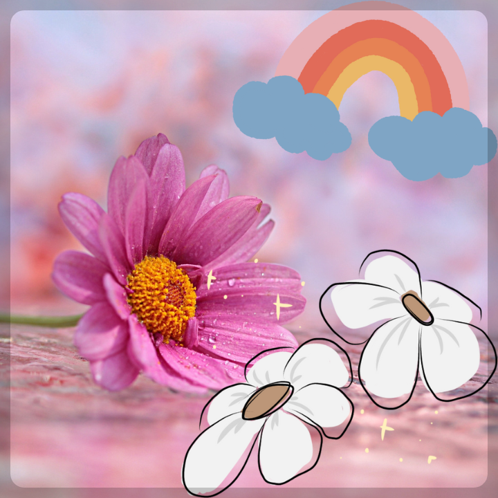 카멜리아힐-입장료