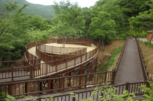 국립 운문산 자연휴양림