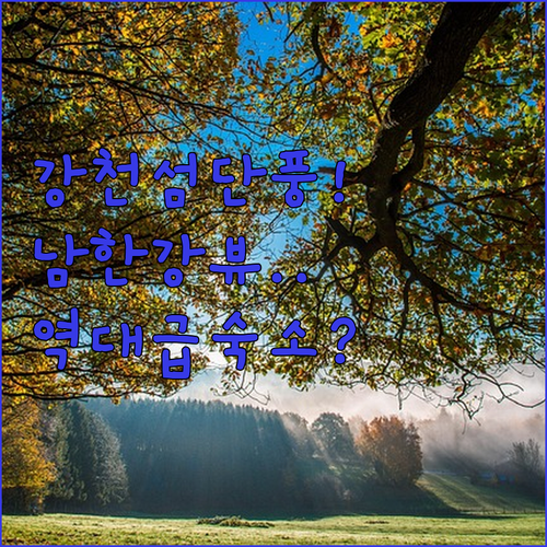 여주 강천섬 단풍 구경하고 머물기 좋..