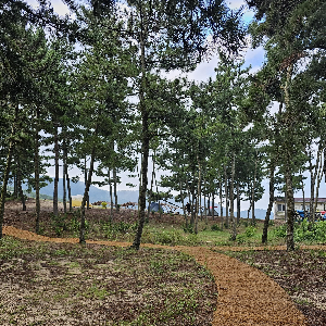 서포리해변