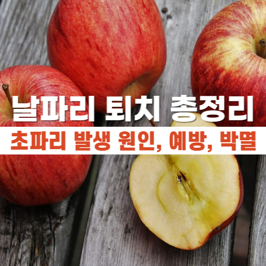 사과 3개와 사과반쪽이 있습니다.