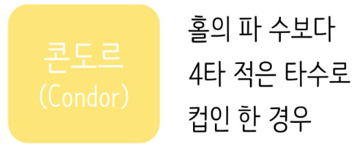 파크골프용어-사진2
