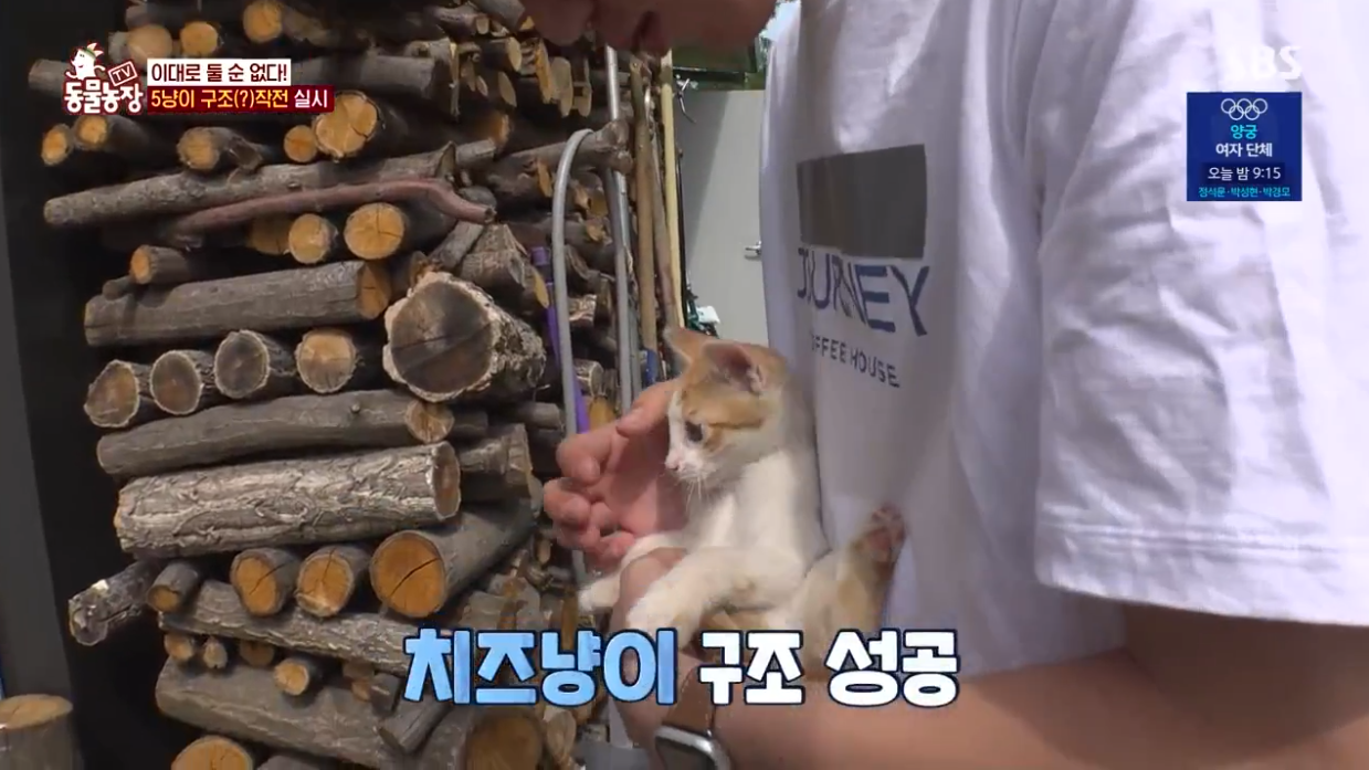 동물농장