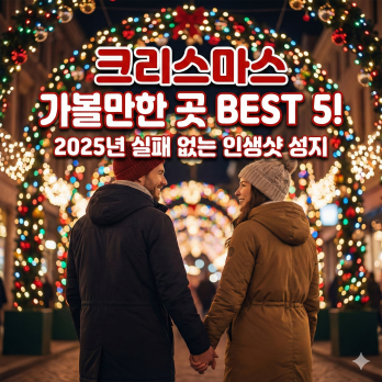 크리스마스 가볼만한 곳 BEST 5! 2025년 실패 없는 인생샷 성지
