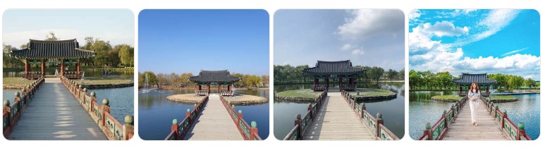 충청남도 부여 궁남지 포룡정과 연못 위 전통 목교의 아름다운 풍경