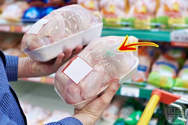 상한 닭고기 구별 상한닭냄새