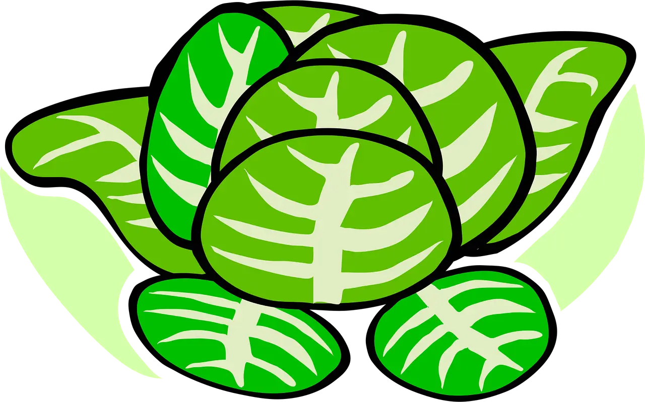 2025 절임배추 사전예약 총정리/가격, 구매처, 꿀팁까지 한눈에!