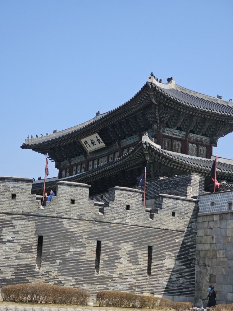 [25.3월] 수원화성 : 화성행궁 관광열차&amp;#44; [화성어차]