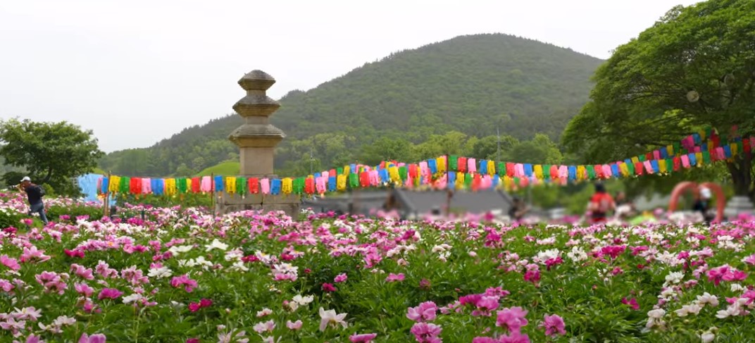 5월에 꼭 가봐야 할 적국 봄꽃 명소