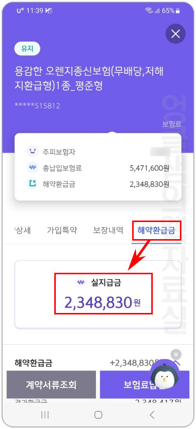 신한라이프 보험 해지 환급금 조회
