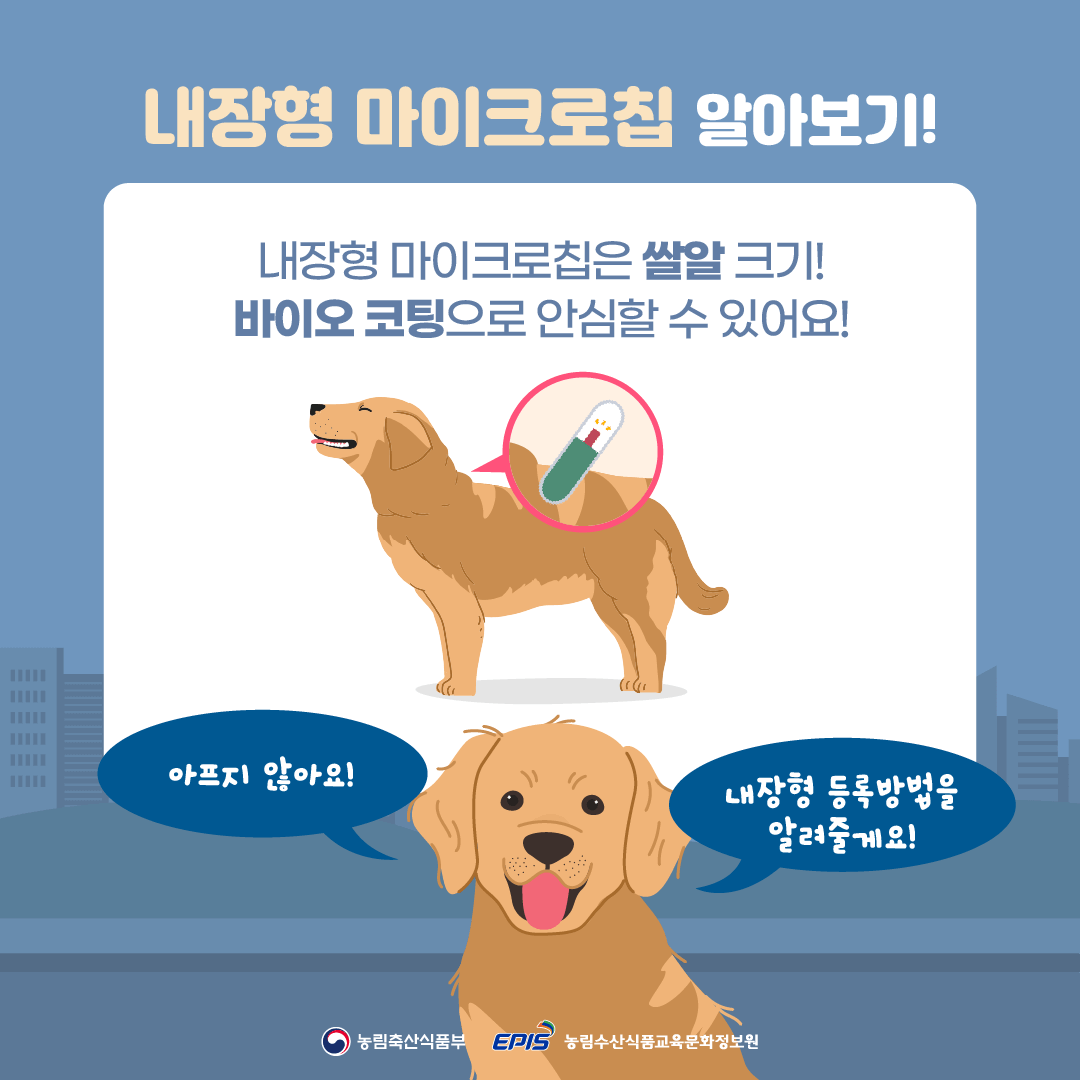 반려동물 등록 비용 내장칩vs외장칩 신청방법