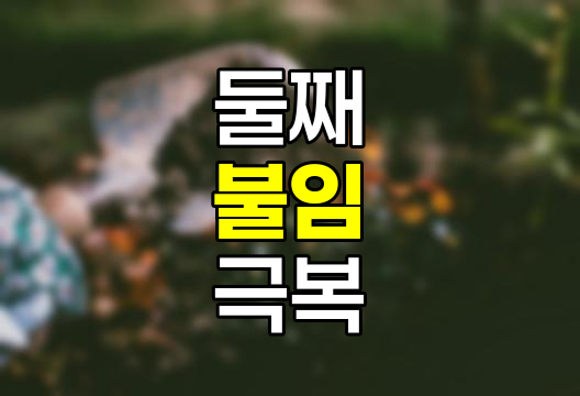 둘째 불임(이차성 불임)의 원인과 극복 방법