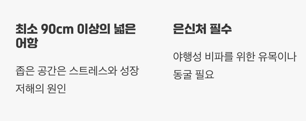 어항 - '작은 연못'을 준비하세요